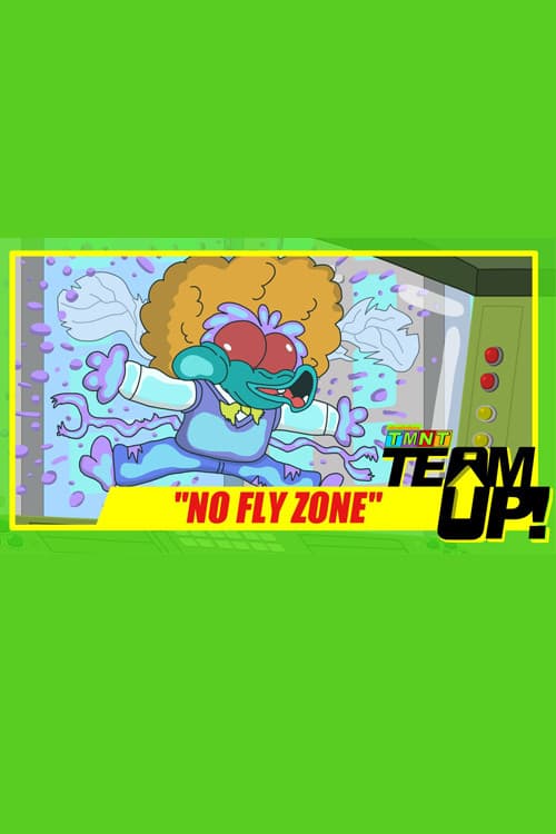 Постер: TMNT Team Up! - No Fly Zone