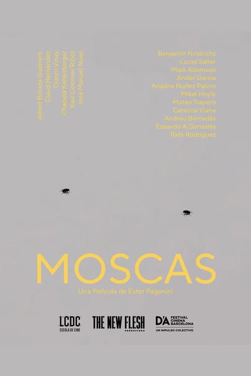 Постер: Moscas