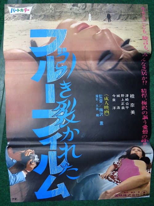 Постер: 引き裂かれたブルーフィルム