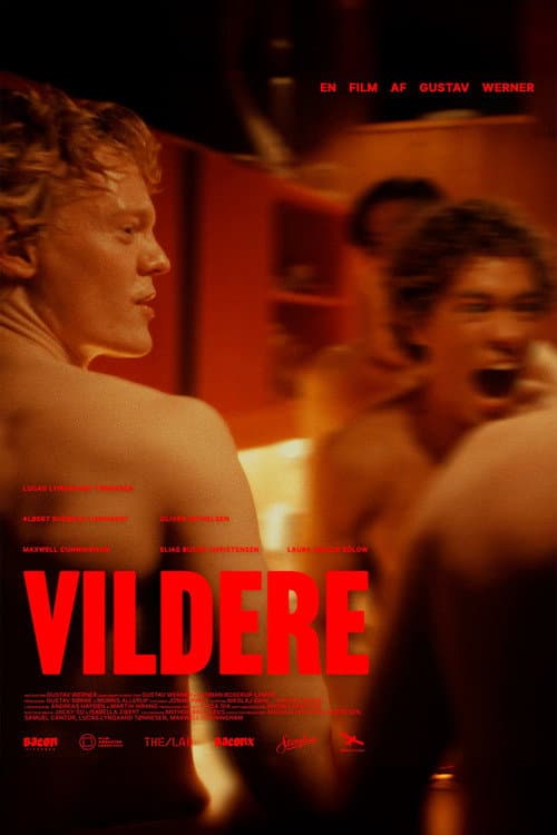 Постер: Vildere