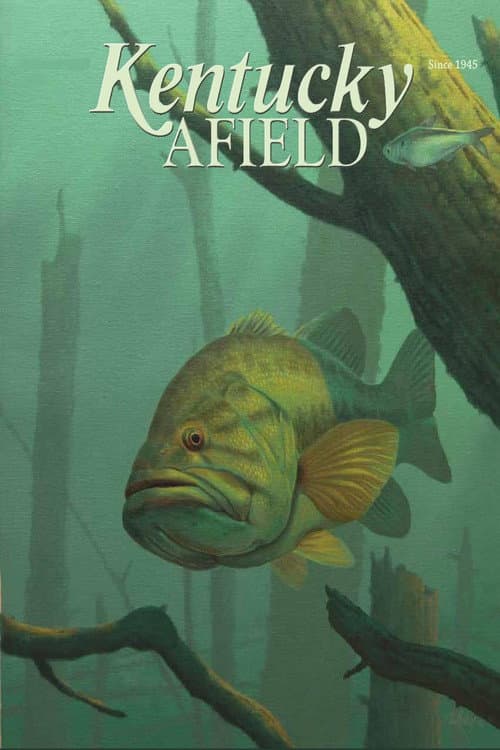 Постер: Kentucky Afield