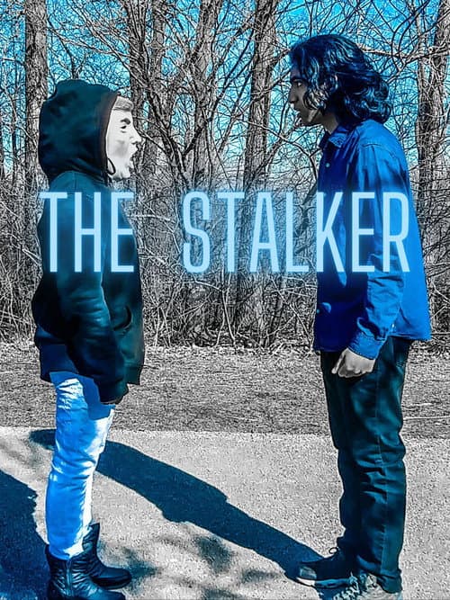 Постер: The Stalker