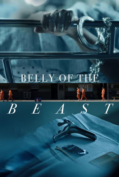 Постер: Belly of the Beast