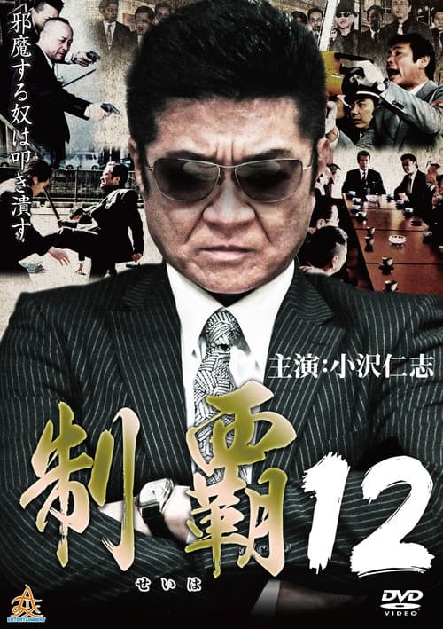 Постер: 制覇12