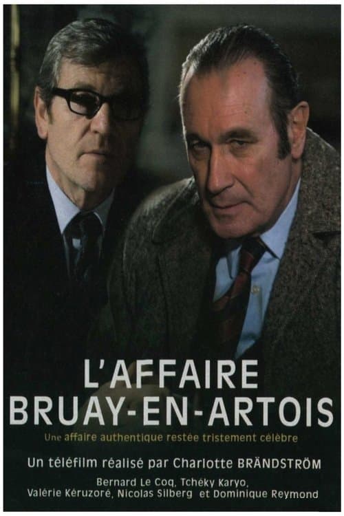 Постер: L'Affaire Bruay-en-Artois