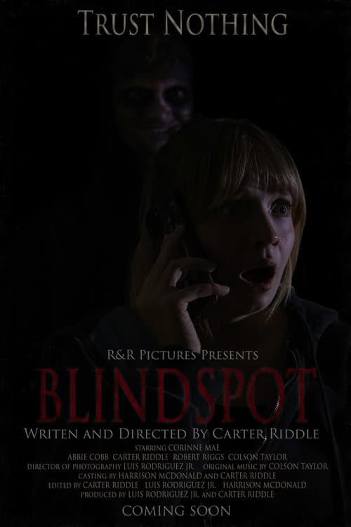 Постер: BLINDSPOT