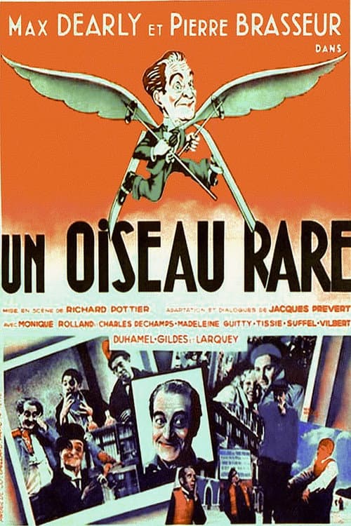 Постер: Un oiseau rare