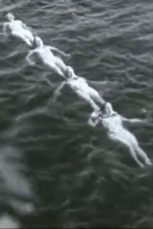 Постер: Ballet of the Mermaids