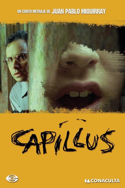 Постер: Capillus Fanum
