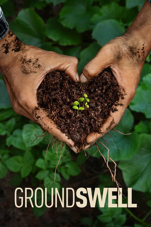 Постер: Groundswell