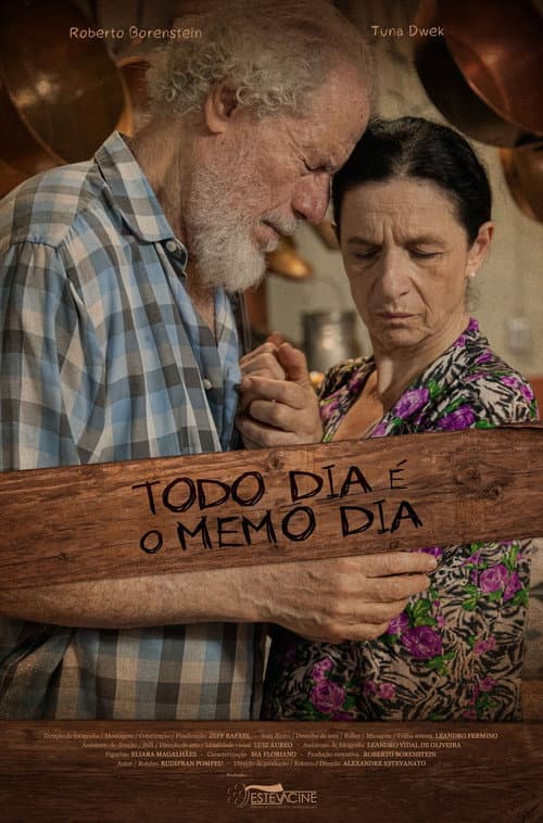 Постер: Todo Dia É O Memo Dia