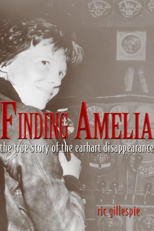 Постер: Finding Amelia