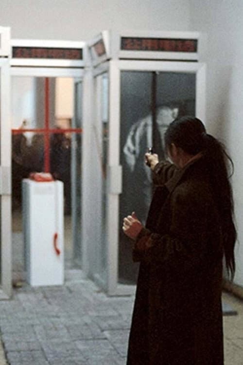 Постер: 七宗罪——中国现代艺术展上的七个行为艺术