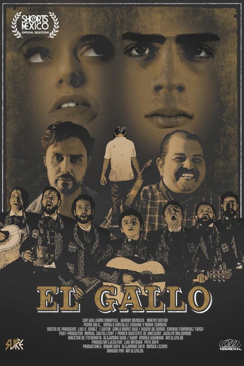 Постер: El Gallo