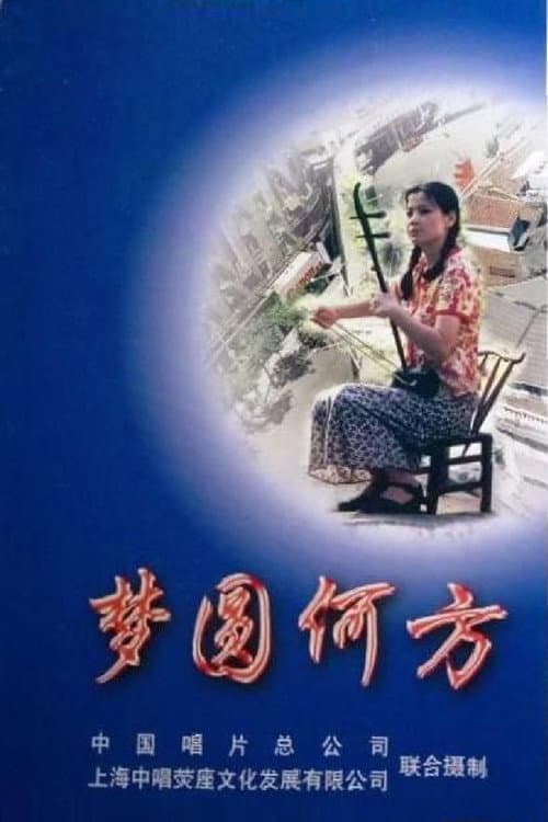 Постер: 梦圆何方