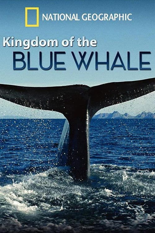 Постер: Kingdom of the Blue Whale