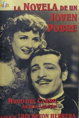 Постер: La novela de un joven pobre