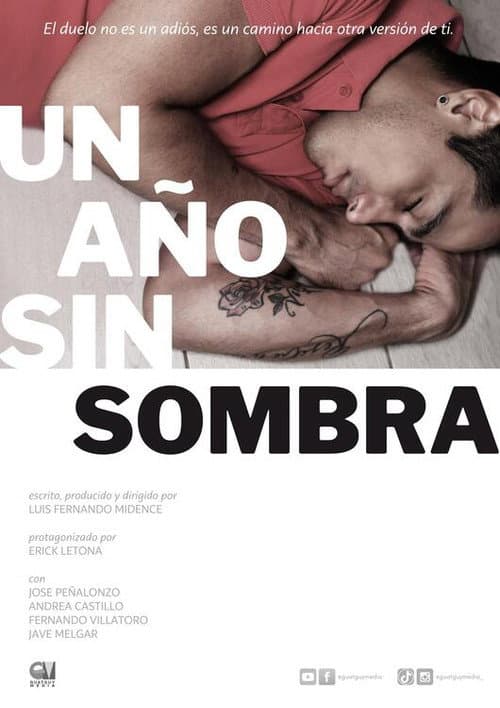 Постер: Un año sin sombra