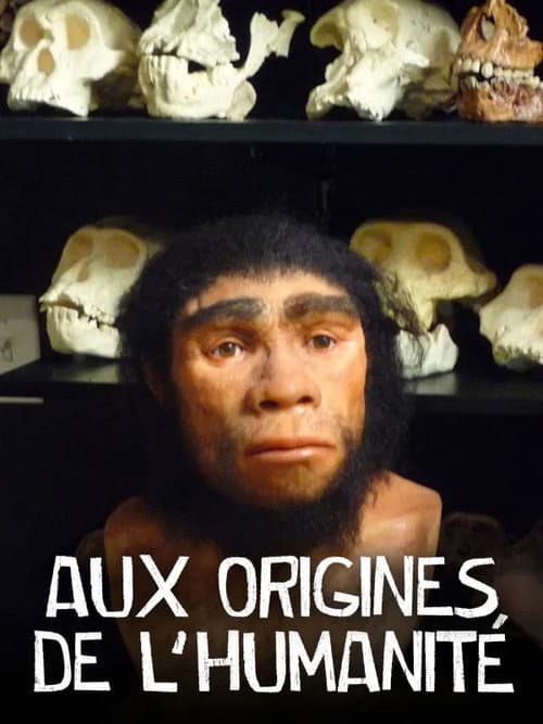 Постер: Aux origines de l'humanité