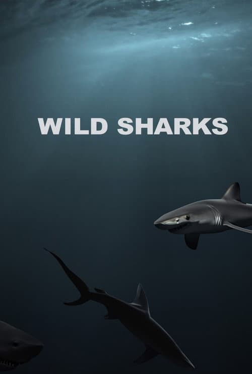 Постер: Wild Sharks