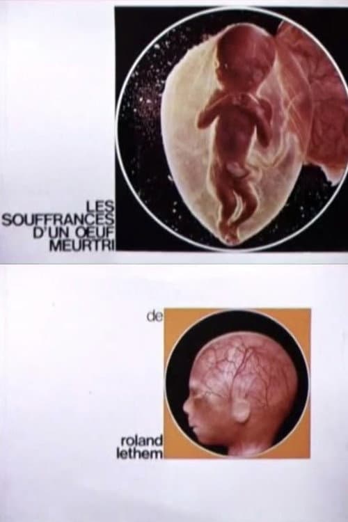 Постер: Les souffrances d'un oeuf meurtri