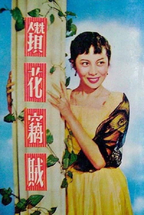 Постер: 鑽花竊賊