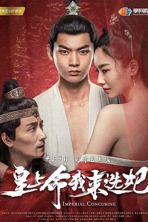 Постер: 皇上命我来选妃