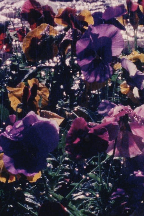 Постер: La Jardinera