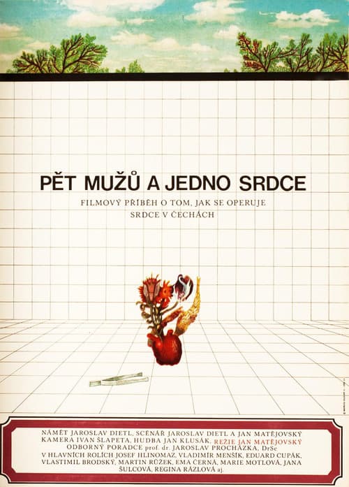 Постер: Pět mužů a jedno srdce