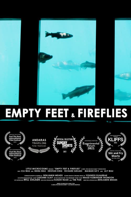 Постер: Empty Feet & Fireflies