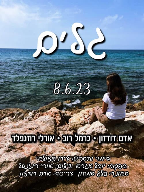 Постер: גלים