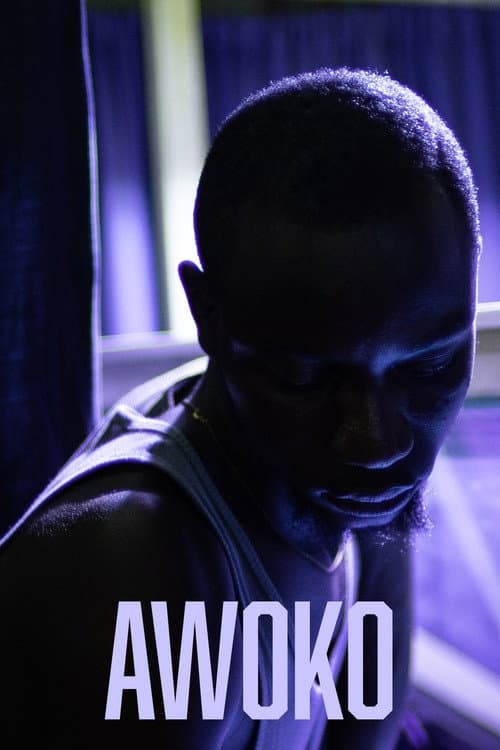 Постер: Awoko