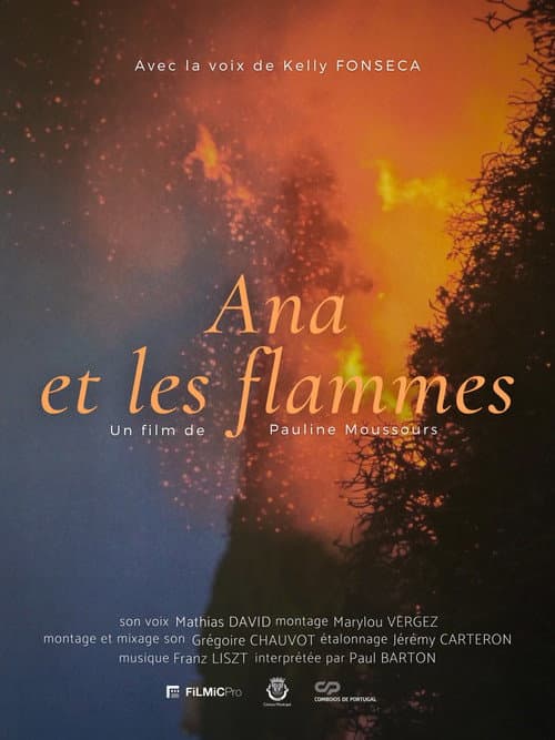 Постер: Ana et les flammes