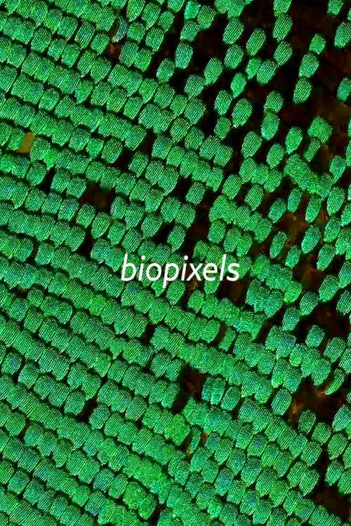 Постер: biopixels