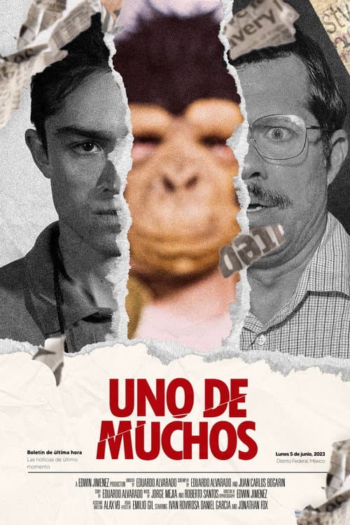 Постер: Uno De Muchos