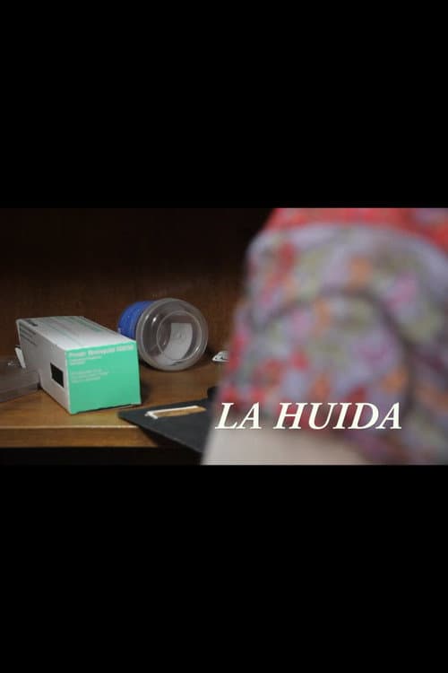 Постер: La huida