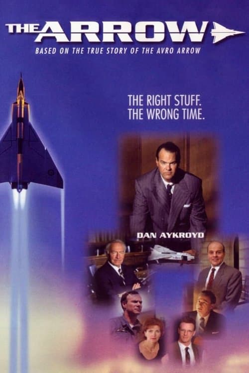 Постер: The Arrow