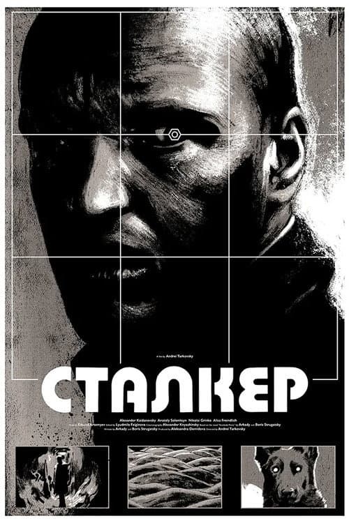 Кадр 22