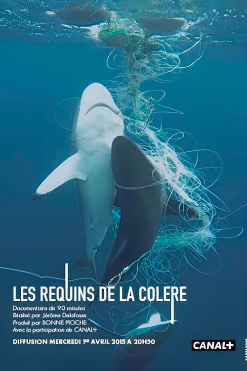 Постер: Les Requins de la Colère