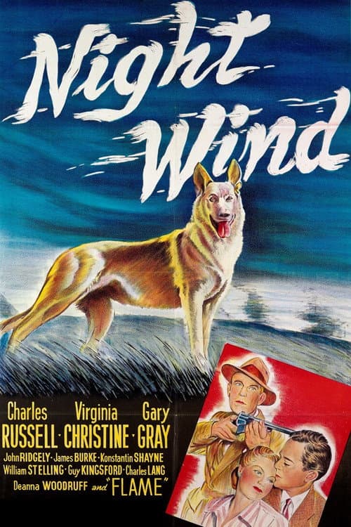 Постер: Night Wind