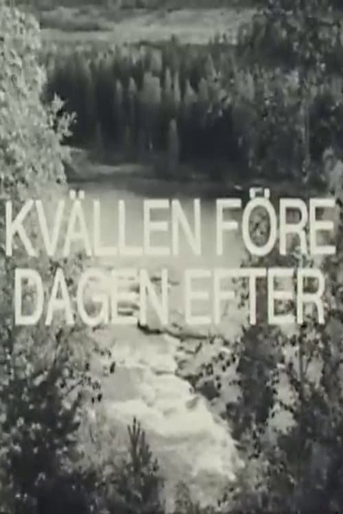 Постер: Kvällen före dagen efter