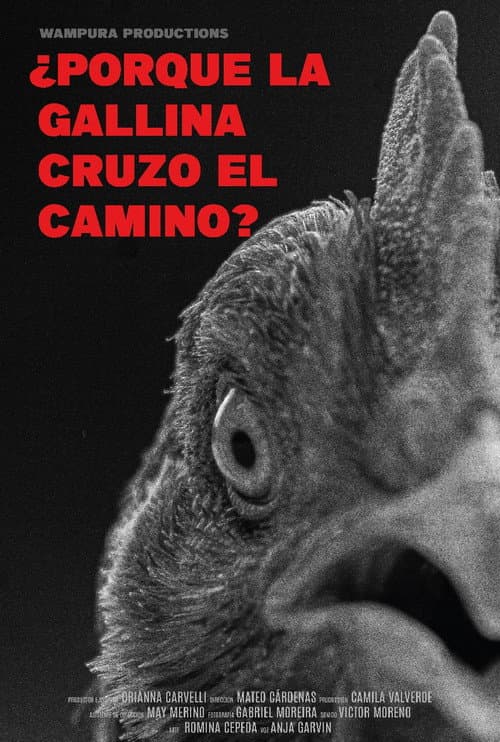 Постер: ¿Por qué la gallina cruzó el camino?