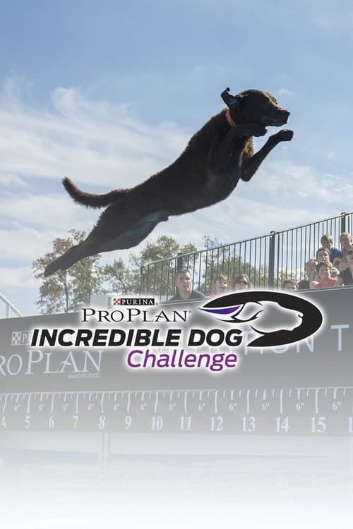 Постер: The Incredible Dog Challenge Tour
