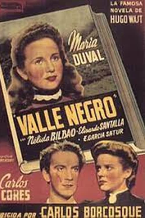Постер: Valle negro