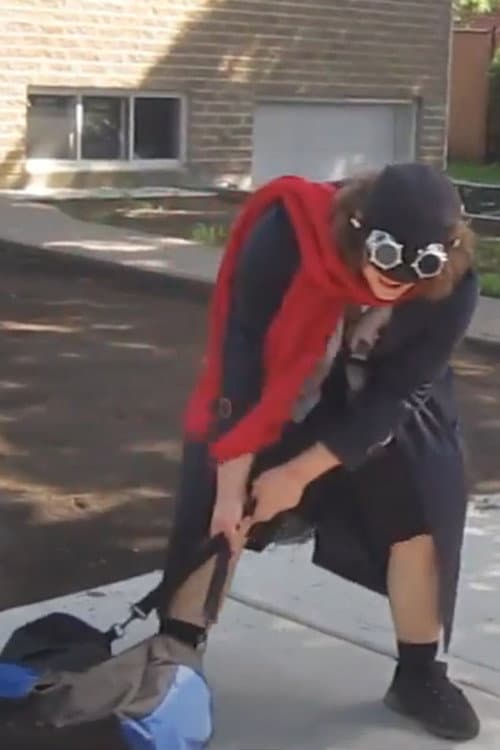 Постер: The Traveler