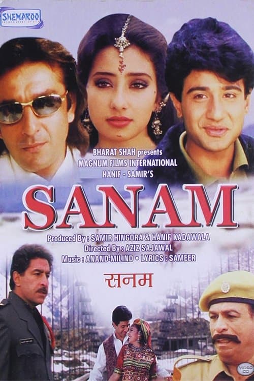 Постер: Sanam