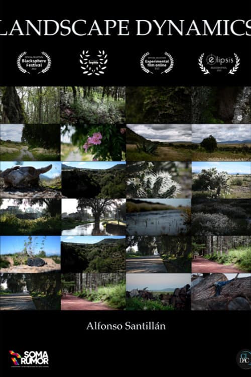 Постер: Landscape dynamics