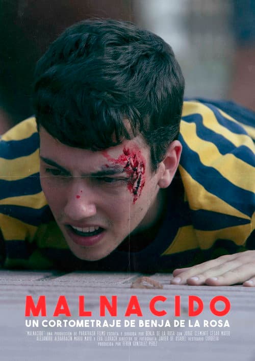 Постер: Malnacido