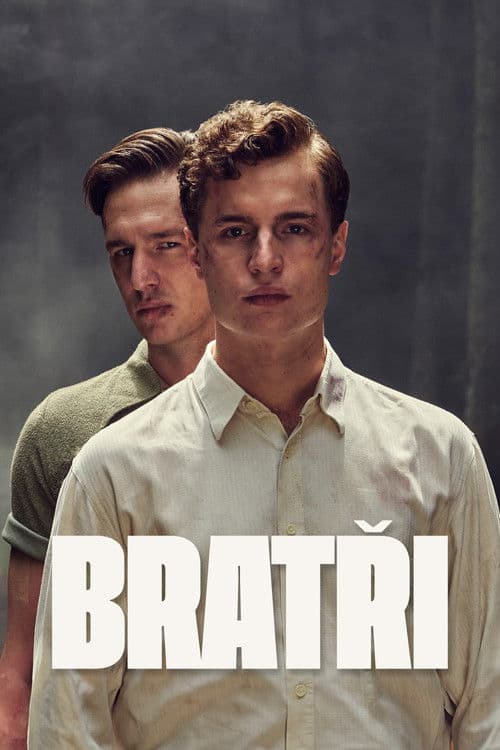 Постер: Братья