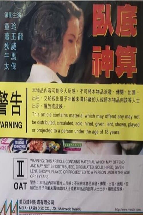 Постер: 臥底神算